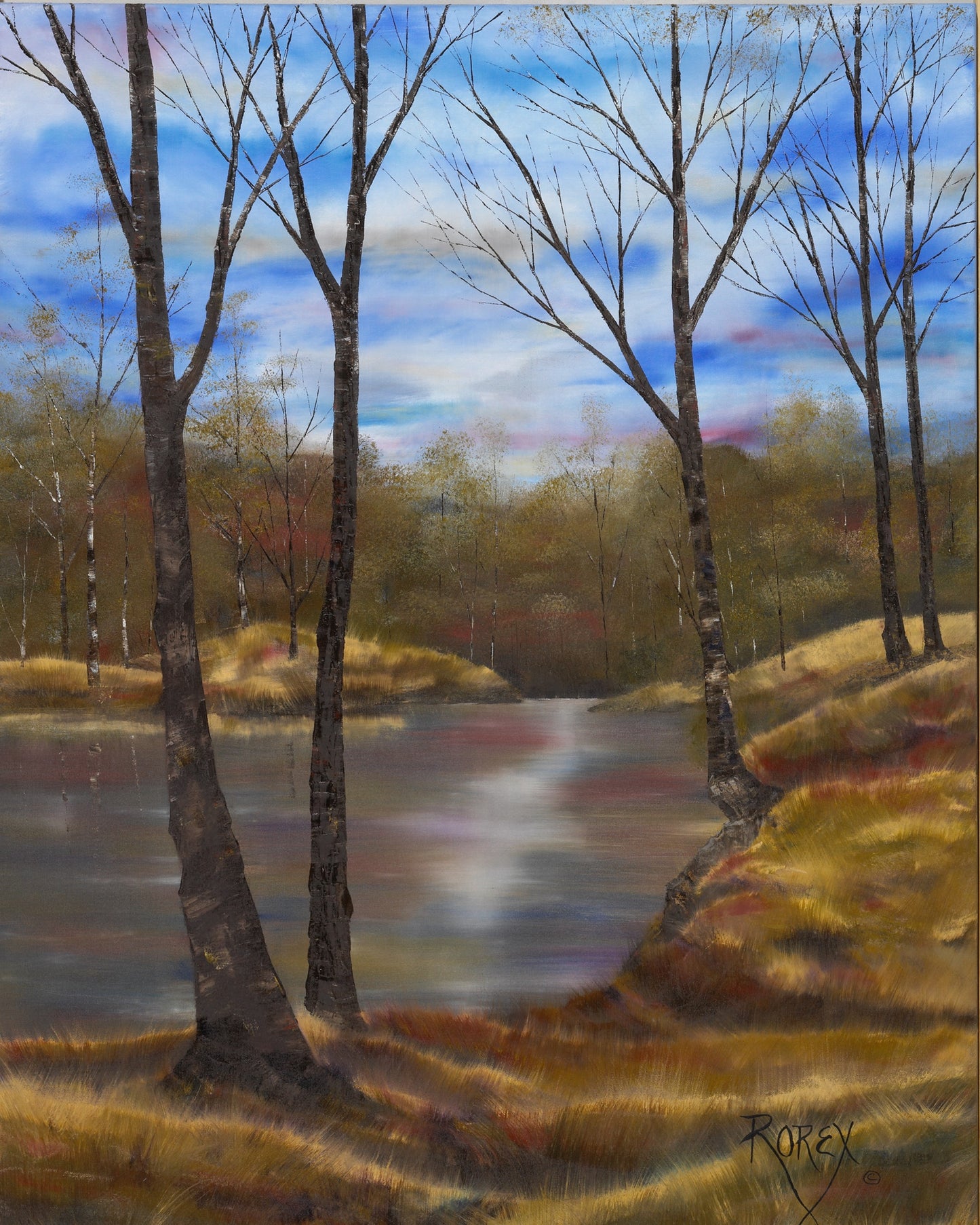 TURNBACK CREEK ORG-TBC