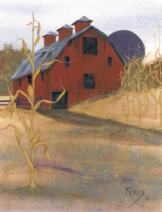 beautiful red barn beside a cornfield - with the single cornstalk in front 